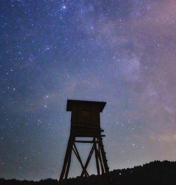 Noč v Klečah v opazovalnici divjadi